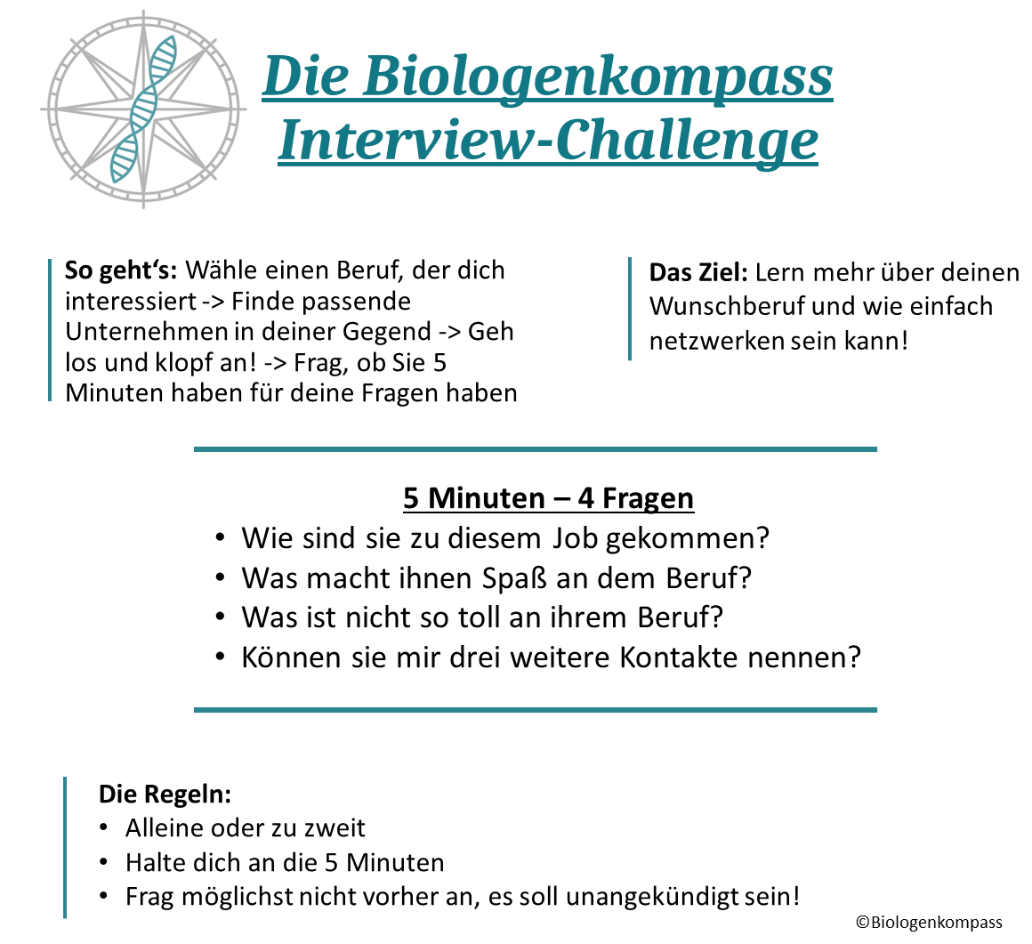 Zusammenfassung der Herausforderung zum Networking und Beruf kennenlernen.