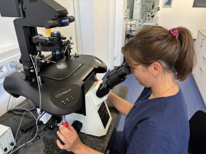 Leben schaffen als Reproduktionsbiologin - Interview mit Janine Terzenbach